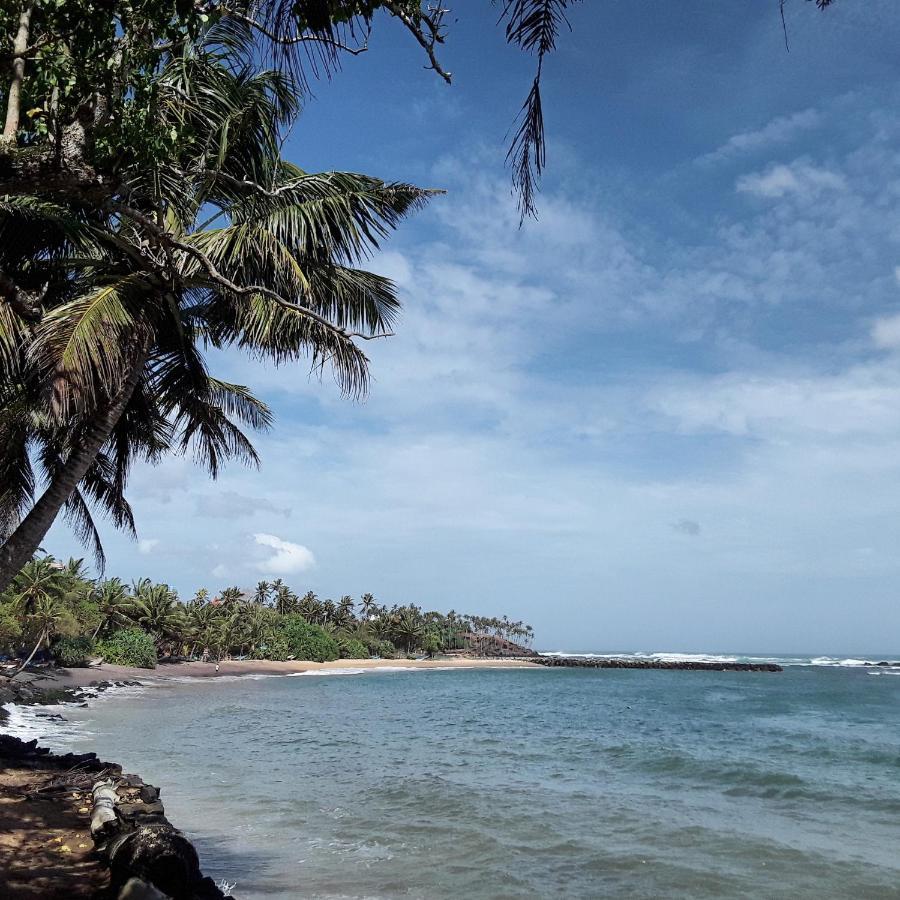 Palm Villa Mirissa Hotel&Spa Екстериор снимка