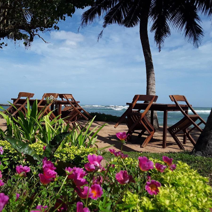 Palm Villa Mirissa Hotel&Spa Екстериор снимка