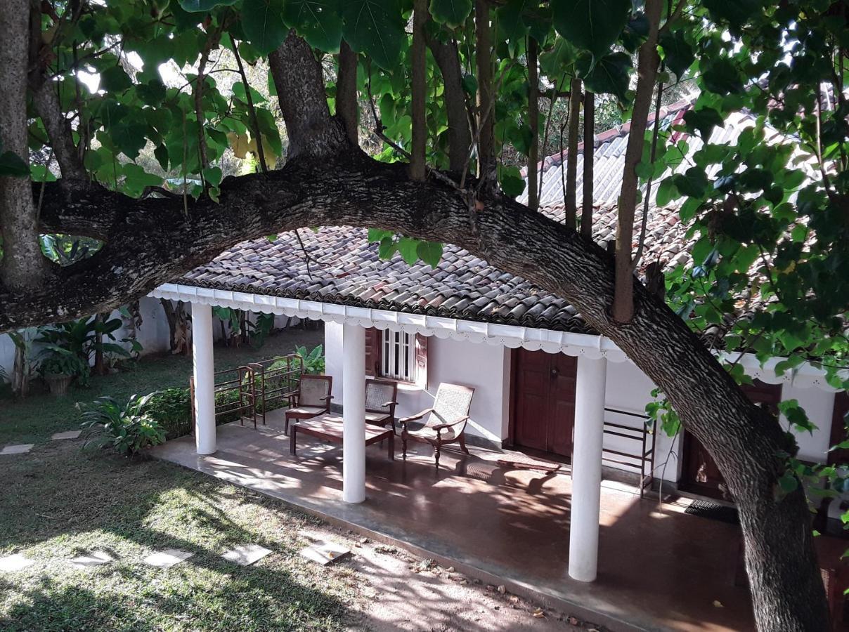 Palm Villa Mirissa Hotel&Spa Екстериор снимка