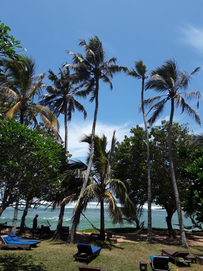 Palm Villa Mirissa Hotel&Spa Екстериор снимка