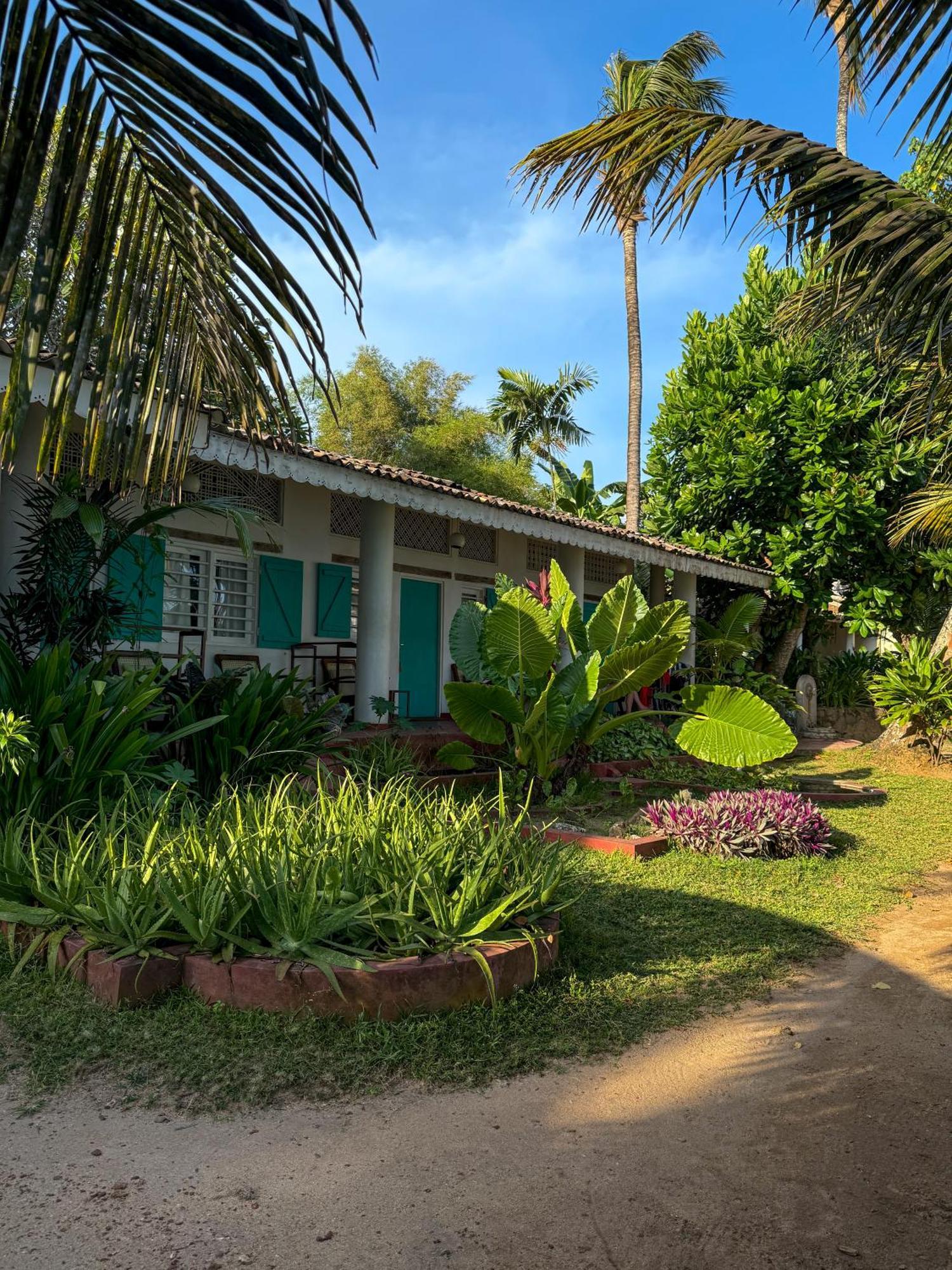 Palm Villa Mirissa Hotel&Spa Екстериор снимка