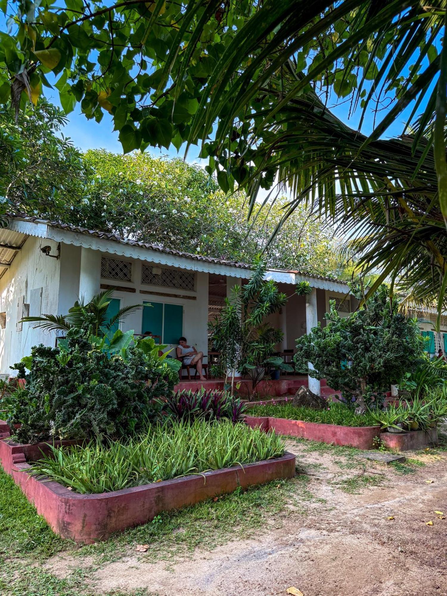 Palm Villa Mirissa Hotel&Spa Екстериор снимка